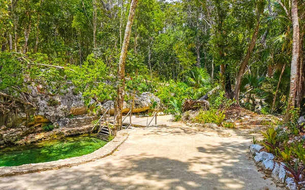 Hermoso Cenote Park Aktunchen Con Rocas Piedra Caliza Azul Turquesa — Foto de Stock