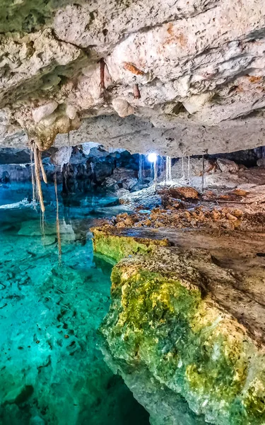 Piękny Cenote Park Aktunchen Wapiennymi Skałami Turkusowy Niebieski Zielony Wody — Zdjęcie stockowe