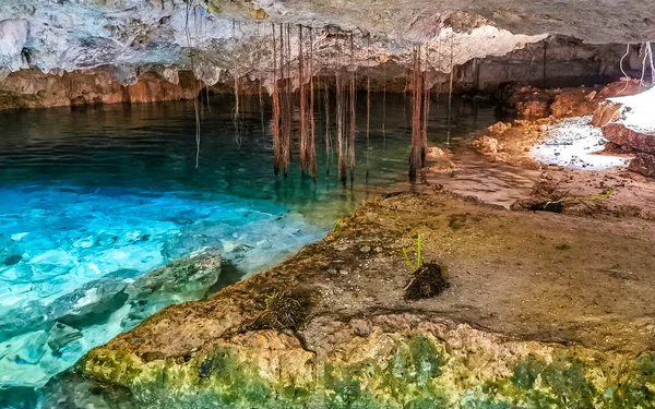 Όμορφη Cenote Park Aktunchen Ασβεστολιθικά Βράχια Τιρκουάζ Μπλε Πράσινο Νερό — Φωτογραφία Αρχείου