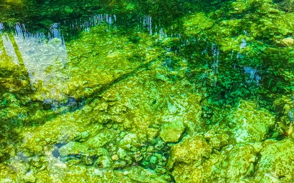 Güzel Cenote Park Aktunchen Kireçtaşı Kayalar Turkuaz Mavi Yeşil Tulum — Stok fotoğraf