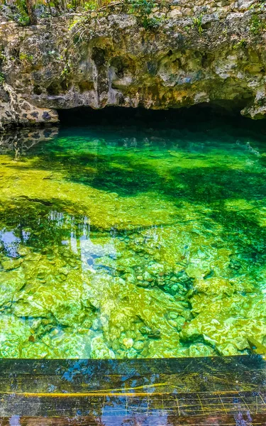 Schöne Cenote Park Aktunchen Mit Kalksteinfelsen Türkisblauem Wasser Und Natur — Stockfoto