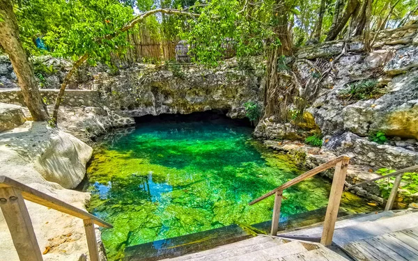 Prachtige Cenote Park Aktunchen Met Kalkstenen Rotsen Turquoise Blauw Groen — Stockfoto