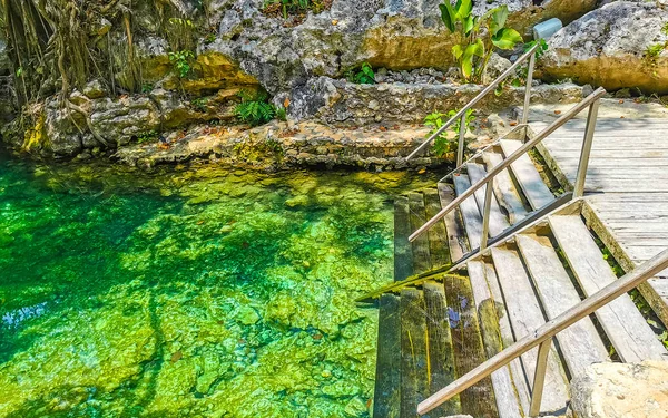 Prachtige Cenote Park Aktunchen Met Kalkstenen Rotsen Turquoise Blauw Groen — Stockfoto