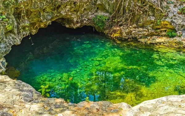 Beau Parc Cenote Aktunchen Avec Des Roches Calcaires Turquoise Bleu — Photo