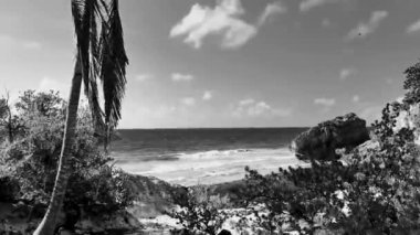 Antik Tulum 'daki doğal deniz manzarası, Tulum Meksika' daki tropikal doğal orman palmiyesinde tapınak kalıntıları ve eserlerle Maya bölgesini harap ediyor..