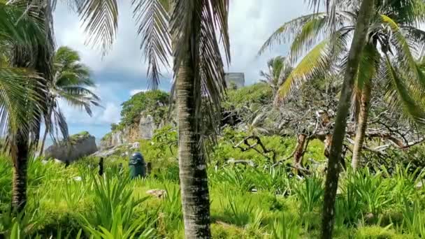 Natural Seascape Panorama View Ancient Tulum Ruins Mayan Site Temple — Stock Video