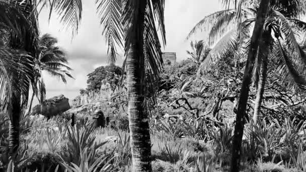 Natural Seascape Panorama View Ancient Tulum Ruins Mayan Site Temple — Αρχείο Βίντεο