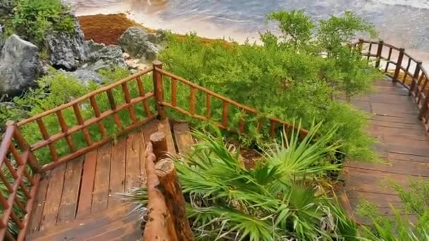 Paysage Marin Naturel Vue Panoramique Sur Les Ruines Antiques Tulum — Video