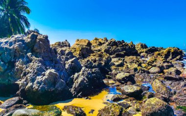 Plaj kumsalı turkuvaz mavi su kayaları kaya kayaları palmiye ağaçları büyük sörfçü dalgaları ve plaj manzarası Playa Manzanillo ve Puerto Angelito Puerto Escondido Oaxaca Meksika.