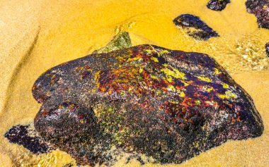 Plaj kumsalı turkuvaz mavi su kayaları kaya kayaları palmiye ağaçları büyük sörfçü dalgaları ve plaj manzarası Playa Manzanillo ve Puerto Angelito Puerto Escondido Oaxaca Meksika.