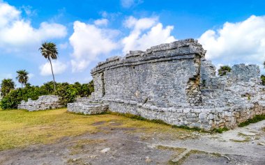 Antik Tulum, Tulum Meksika 'daki tropikal doğal orman palmiyesi ve deniz manzarasında tapınak kalıntıları ve eserlerle Maya bölgesini harabeye çeviriyor..