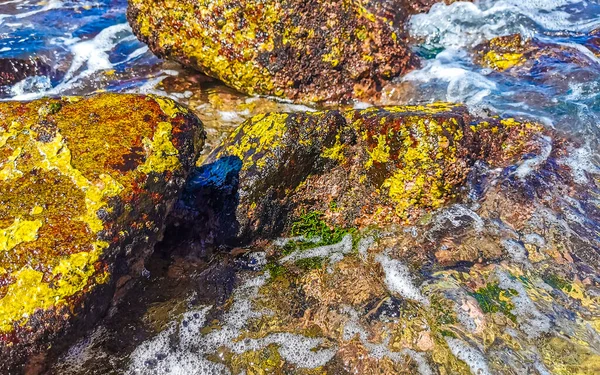 ビーチサンドターコイズブルーの水の岩崖の岩ヤシの木巨大な大きなサーファーの波とビーチのパノラマビュープエルトエスコンディドオアハカのプレヤマンザニーリョとプエルトアンジェリートメキシコ — ストック写真