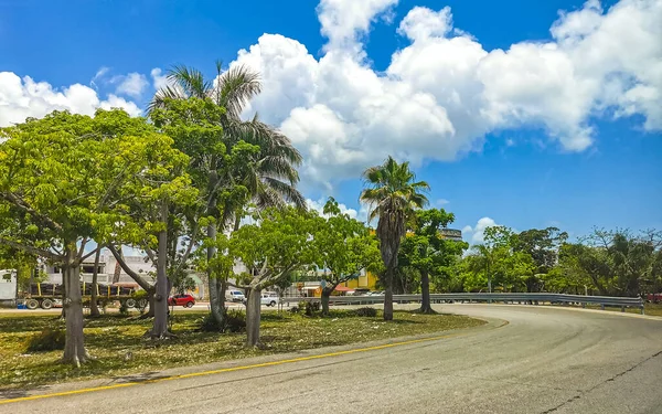 Playa Del Carmen Május 2023 Tipikus Utcai Városkép Autók Forgalom — Stock Fotó