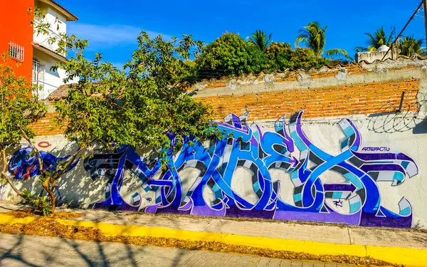 Πουέρτο Εσκοντίντο Οαχάκα Μεξικό Ιανουάριος 2023 Τοίχος Πολύχρωμα Γκράφιτι Σχέδια — Φωτογραφία Αρχείου