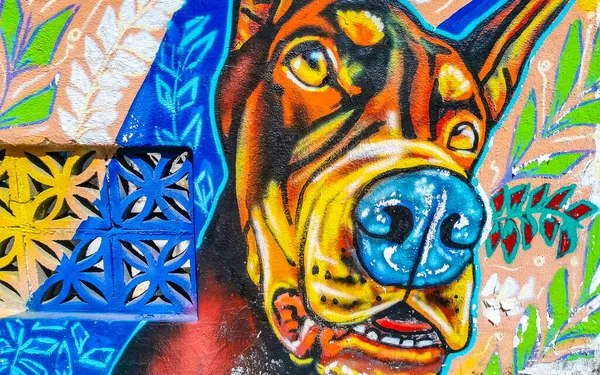 Puerto Escondido Oaxaca Mexiko März 2023 Mauer Mit Bunten Hund — Stockfoto