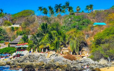 Puerto Escondido Oaxaca Meksika 25. Mart 2023 Palmiye ağaçları insanlar Zicatela Puerto Escondido Oaxaca Meksika 'daki tropikal Meksika plajında şemsiye ve güneş panzeleri tekneleri.