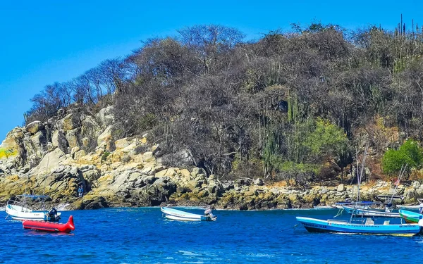 Puerto Escondido Oaxaca Meksika Mart 2023 Limanı Palmiye Ağaçlı Tekneler — Stok fotoğraf