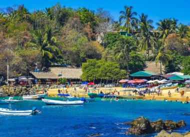 Puerto Escondido Oaxaca Meksika 25. Mart 2023 Limanı ve palmiye ağaçlı tekneler insanlara şemsiye ve güneş panzeleri veriyor Puerto Escondido Oaxaca Meksika 'daki tropikal Meksika plajlarında..