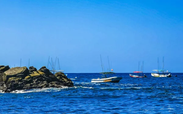 Puerto Escondido Oaxaca Meksika Mart 2023 Limanı Palmiye Ağaçlı Tekneler — Stok fotoğraf