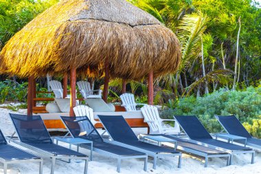 Palapa sazdan çatılar palmiye ağaçları şemsiyeler ve Playa del Carmen Meksika 'daki tropikal Meksika plajındaki sahil otelindeki güneş pansiyonları..