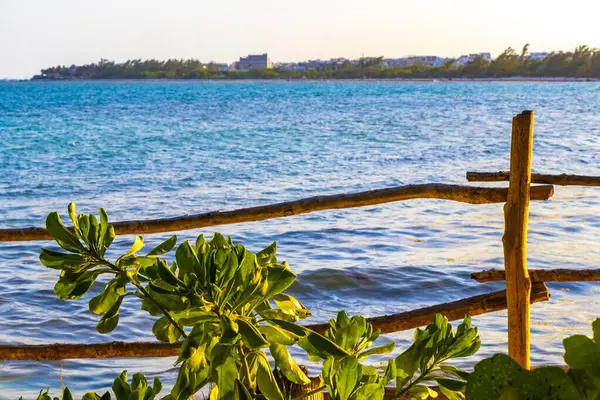 Houten Wandelpad Aan Het Caribische Strand Tropische Natuur Met Palmbomen — Stockfoto