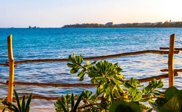 Houten Wandelpad Aan Het Caribische Strand Tropische Natuur Met Palmbomen — Stockfoto