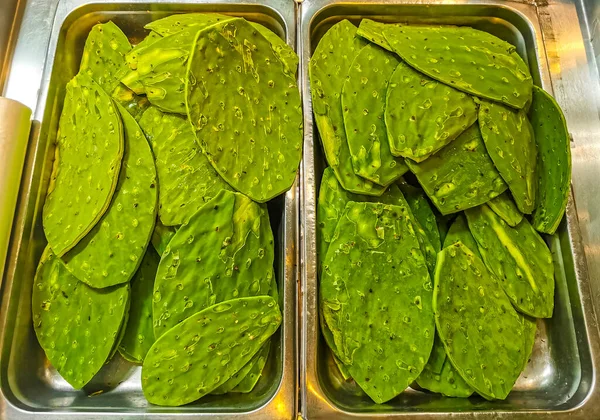 Mexican cactus Nopal for food to eat in supermarket Playa del Carmen Mexico green texture.