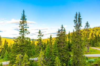 Dağlı Norveç dağ manzarası doğa manzarası ve mavi gökyüzü İskandinavya 'daki Kvitfjell Favang Ringbu Innlandet Norveç' te bulutlar.