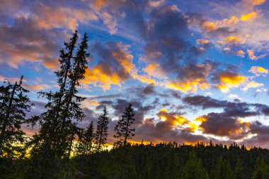 İskandinavya 'daki Kvitfjell Favang Ringbu Innlandet Norveç' teki dağların ve ormanların ardında güzel pembe bir gün batımı..