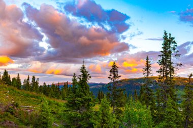İskandinavya 'daki Kvitfjell Favang Ringbu Innlandet Norveç' teki dağların ve ormanların ardında güzel pembe bir gün batımı..