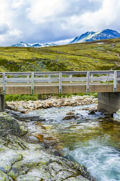 Ponte Legno Sul Lago Infuria Fiume Montagna Nel Parco Nazionale — Foto Stock