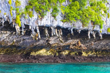 Güneydoğu Asya 'daki Ao Nang Amphoe Mueang Krabi Tayland' daki Koh Phi Leh Adası 'ndaki güzel tropik kireçtaşı adaları. Tayland Krabi Amphoe Mueang Krabi Ao Nang Koh Phi Phi Leh