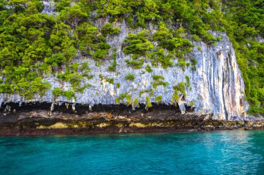 Güneydoğu Asya 'daki Ao Nang Amphoe Mueang Krabi Tayland' daki Koh Phi Leh Adası 'ndaki güzel tropik kireçtaşı adaları. Tayland Krabi Amphoe Mueang Krabi Ao Nang Koh Phi Phi Leh