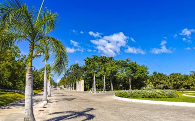 Tropikal doğa, Playa del Carmen Quintana Roo Mexico 'daki 5. Cadde kaldırımına palmiye ve ağaç diker..