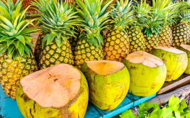 Tulum Quintana Roo Mexico 'da ananas ve hindistan cevizli tropik meyve tezgahı.