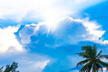 Playa del Carmen Quintana Roo Meksika 'da gölgeli palmiye ağaçları ve bulutların arkasında güneş ve ormanın ardında güzel renkli bir gün doğumu..