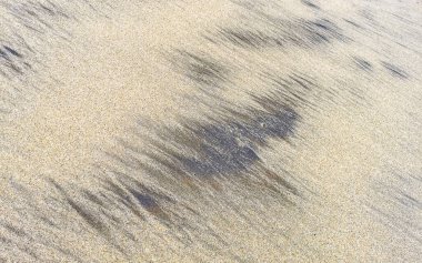 Zicatela Puerto Escondido Oaxaca Meksika 'da ıslak kumsal suyu ve dalga dokusu ve deseni.