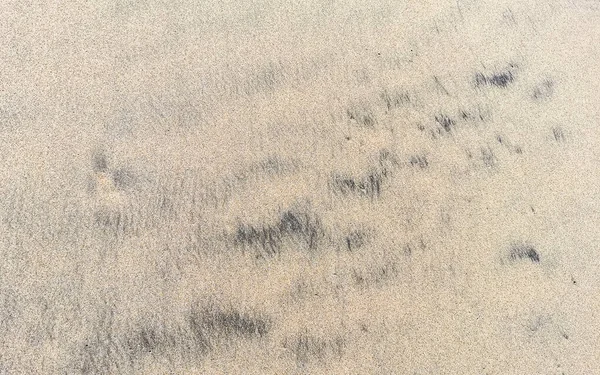 Praia Molhada Areia Água Ondas Textura Padrão Zicatela Puerto Escondido — Fotografia de Stock
