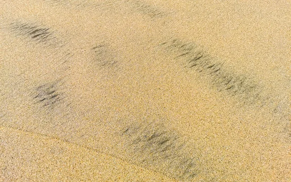 Praia Molhada Areia Água Ondas Textura Padrão Zicatela Puerto Escondido — Fotografia de Stock