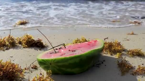 Μισό Καρπούζι Βρίσκεται Στην Παραλία Και Στα Κύματα Του Νερού — Αρχείο Βίντεο