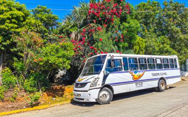 Puerto Escondido Oaxaca Meksika 10. Kasım 2022 Zicatela Puerto Escondido Oaxaca Meksika 'da çeşitli renkli otobüsler seyahat otobüsleri ve ulaşım.