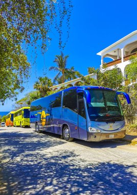 Puerto Escondido Oaxaca Meksika 25. Mart 2023 Zicatela Puerto Escondido Oaxaca Meksika 'da çeşitli renkli otobüsler seyahat otobüsleri ve ulaşım.