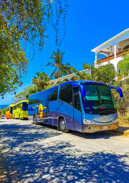 Puerto Escondido Oaxaca Meksika 25. Mart 2023 Zicatela Puerto Escondido Oaxaca Meksika 'da çeşitli renkli otobüsler seyahat otobüsleri ve ulaşım.