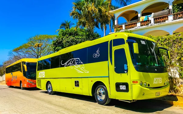 Puerto Escondido Oaxaca Meksika 25. Mart 2023 Zicatela Puerto Escondido Oaxaca Meksika 'da çeşitli renkli otobüsler seyahat otobüsleri ve ulaşım.