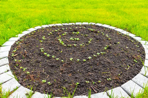 Ogród Okrągłe Łóżka Gleby Młodych Kiełków Roślin Leherheide Bremerhaven Brema — Zdjęcie stockowe
