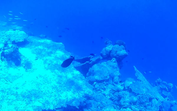 Plongée Avec Tuba Aux Maldives Avec Vue Sous Marine Sur — Photo