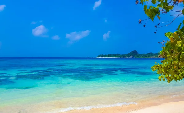 Isla Paradisíaca Tropical Kuramathi Para Vacaciones Lujo Con Palmeras Arena — Foto de Stock