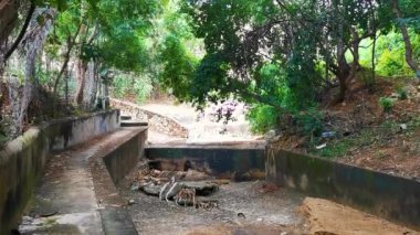 Zicatela Puerto Escondido Oaxaca Meksika 'daki tropikal ormanlarda açık kanalizasyon sistemi..
