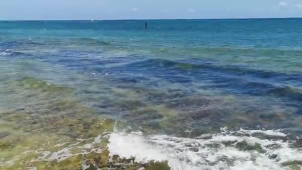 Pedras Rochas Corais Água Azul Verde Turquesa Praia Playa Del — Vídeo de Stock