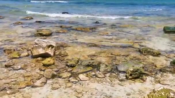 Kameny Korály Tyrkysově Zelené Modré Vodě Pláži Playa Del Carmen — Stock video